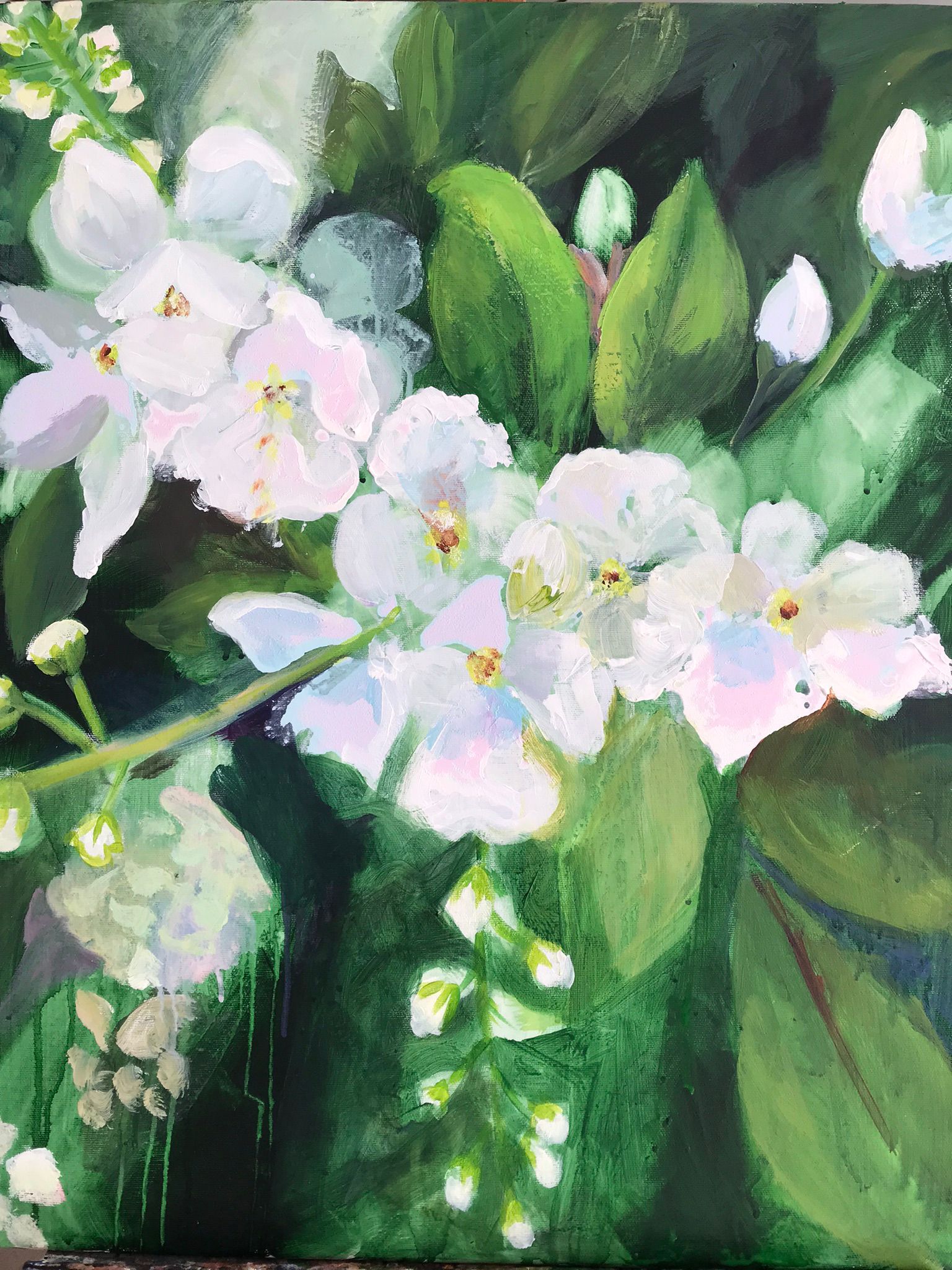 Flores